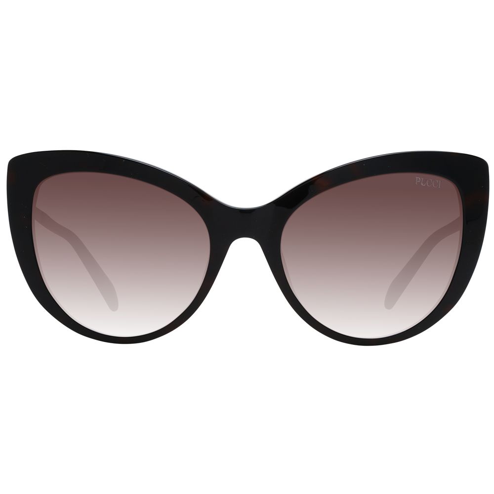 Brown Plastic Sunglasses