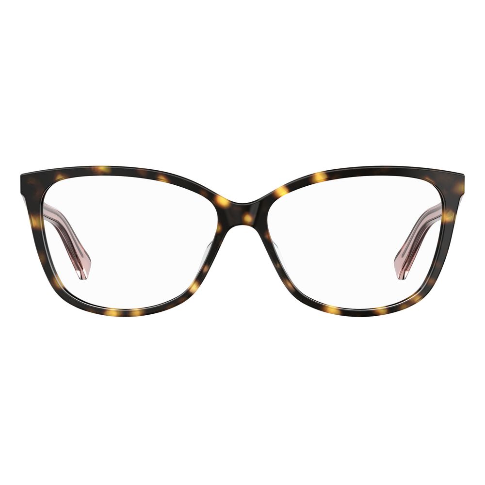Bicolor Acetate Glasses (Frames)