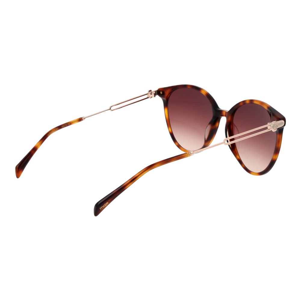Brown Women Sunglasses