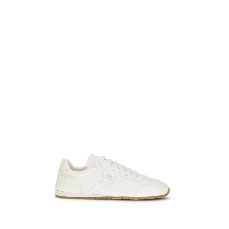 Beige Lamb Ovis Aries Aries Low Top Sneakers