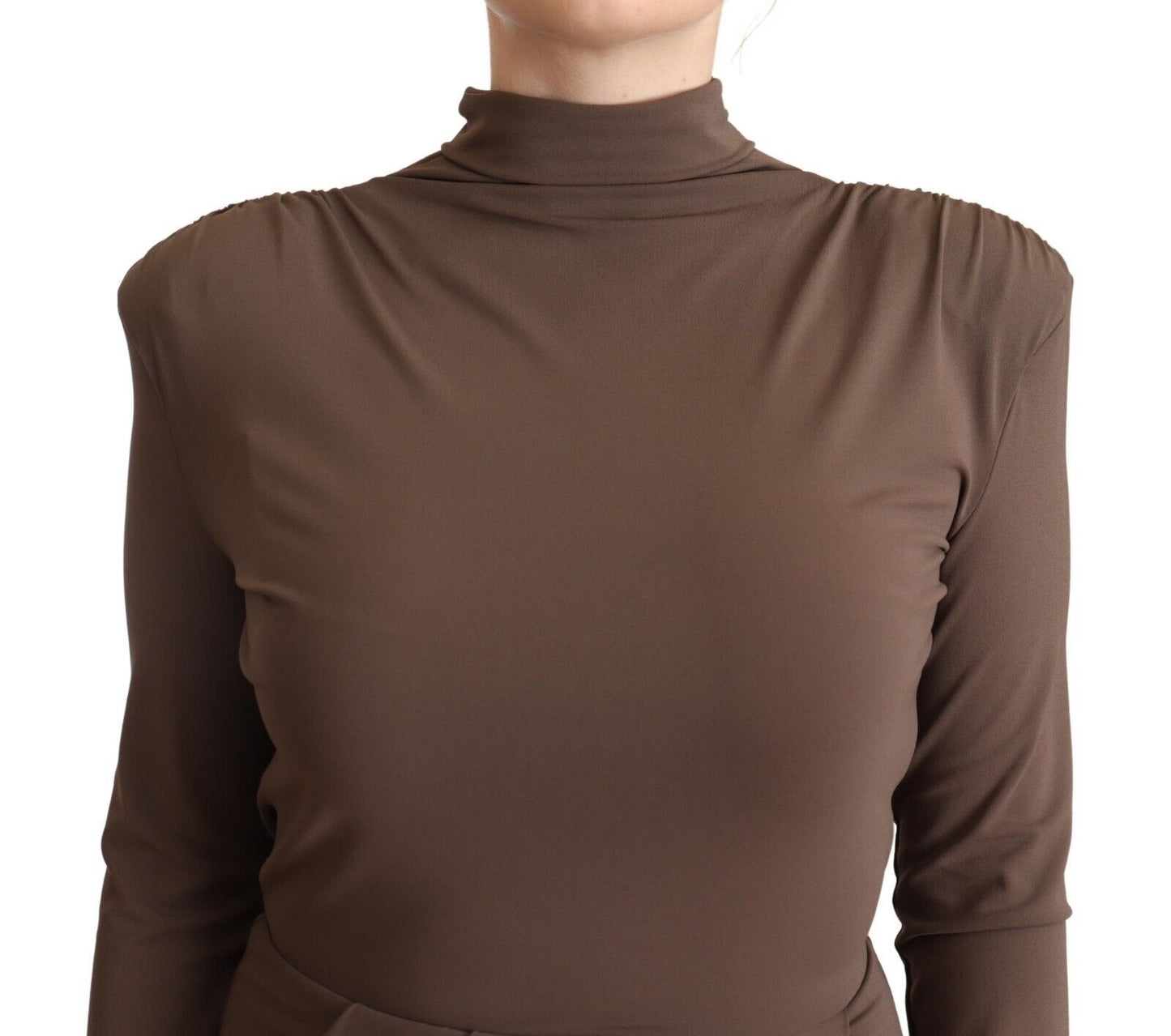 Brown Acetate Long Sleeves Turtle Neck Sheath Dress
