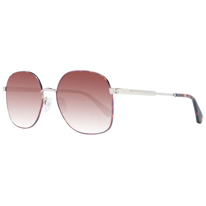 Brown Metal Sunglasses