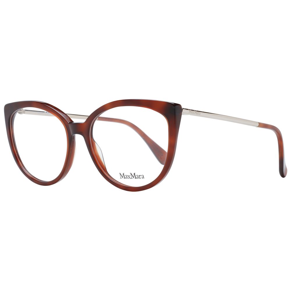 Brown Plastic Glasses (Frames)