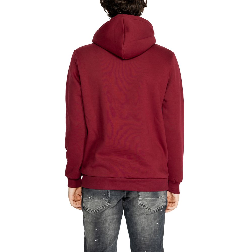 Bordeaux Cotton Hoody