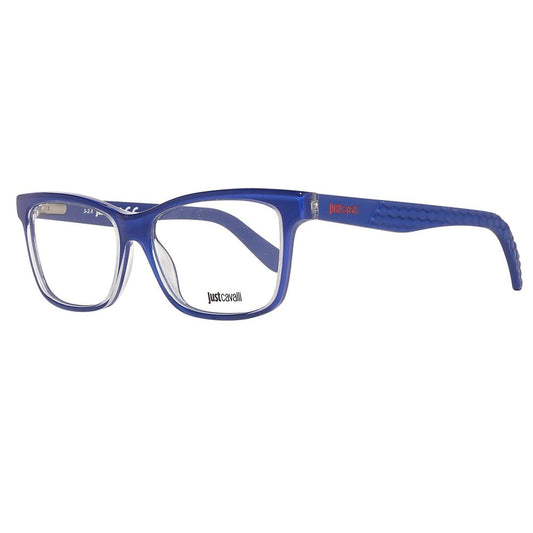 Blue Plastic Glasses (Frames)