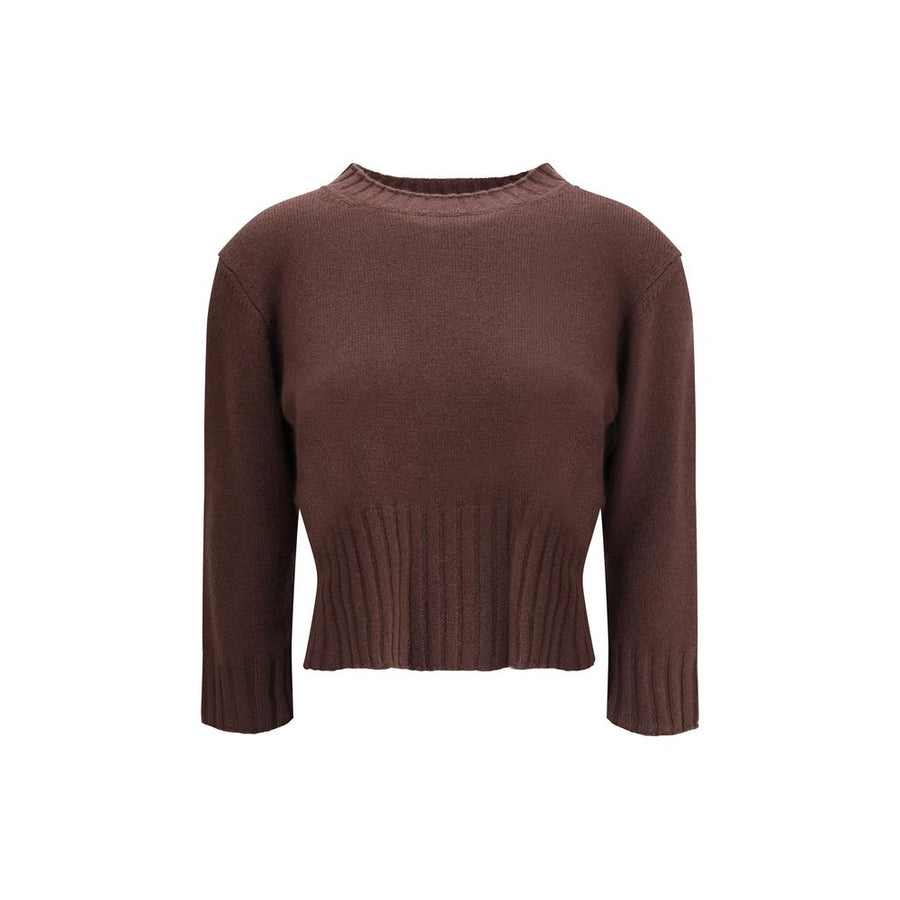 Brown Cashmere Cashmere Sweater