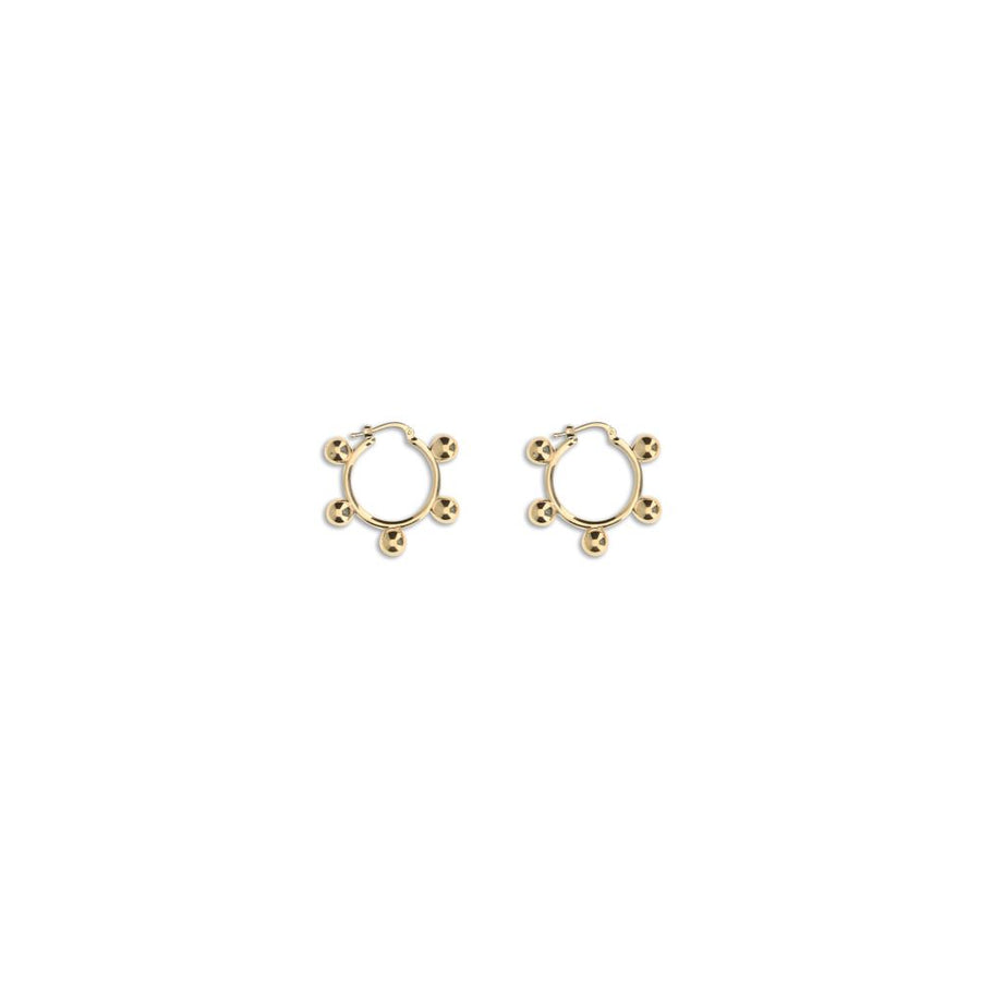 EARRINGS 1338