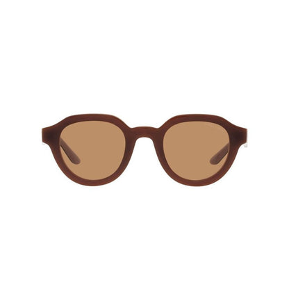Brown Acetate Sunglasses
